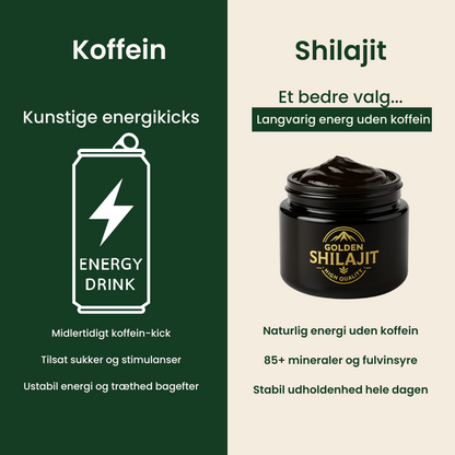 Golden Shilajit 20g